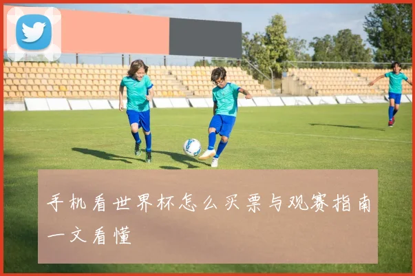 手机看世界杯怎么买票与观赛指南一文看懂