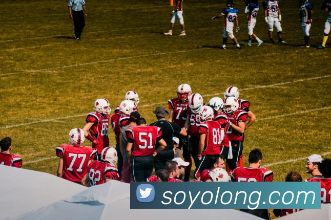 世界杯官方网络平台平台生态图